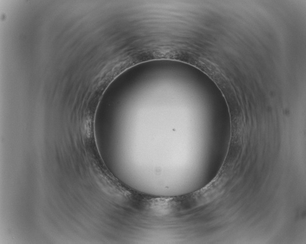 X0000086880090200704231114