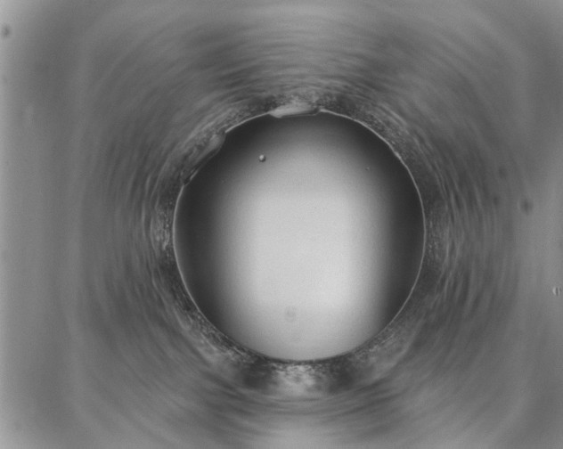 X0000086880091200704231114