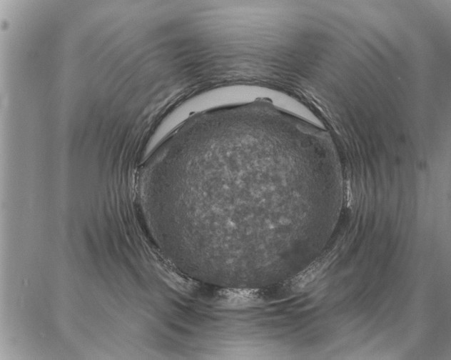 X0000086880093200704231114