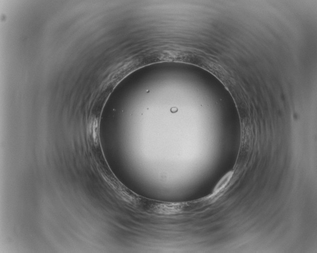 X0000086880094200704231114