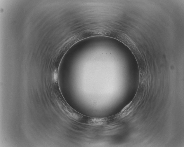 X0000086880095200704231114