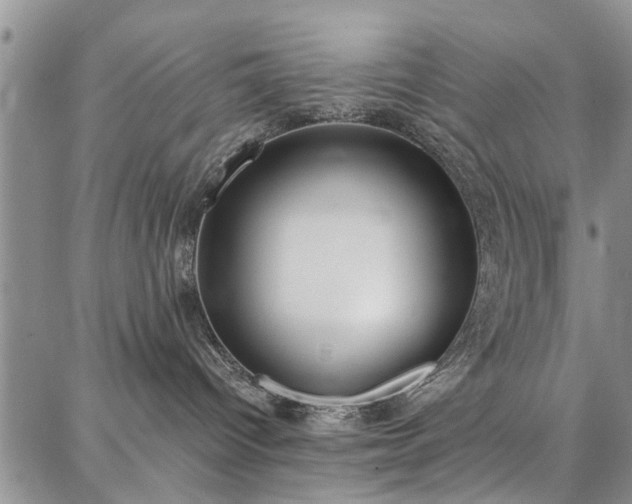 X0000086880096200704231114