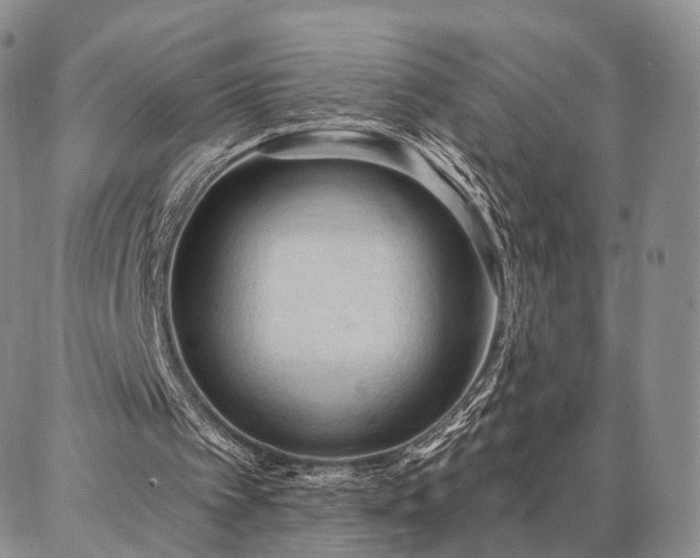 X0000086880097200704231113