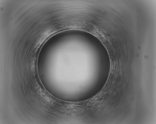 X0000086880098200704231113