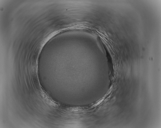 X0000086880100200704231113