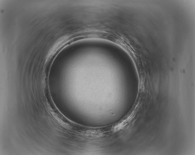 X0000086880101200704231113