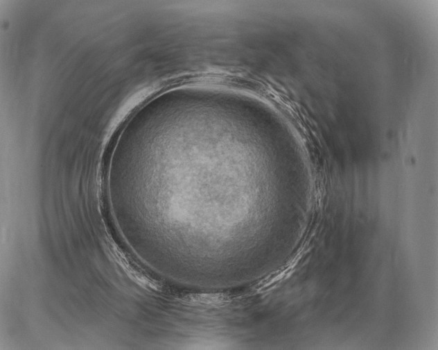 X0000086880102200704231113