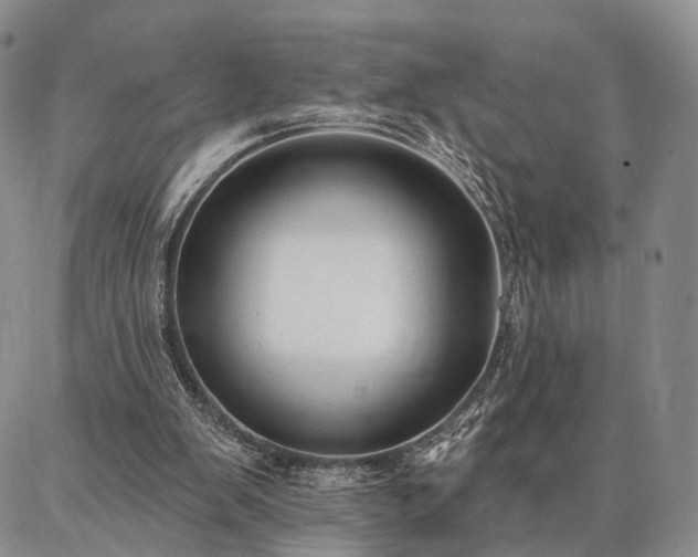 X0000086880103200704231113