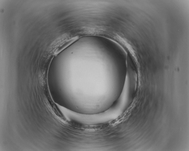 X0000086880105200704231113