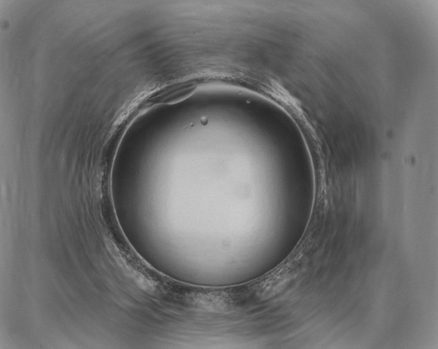 X0000086880106200704231113