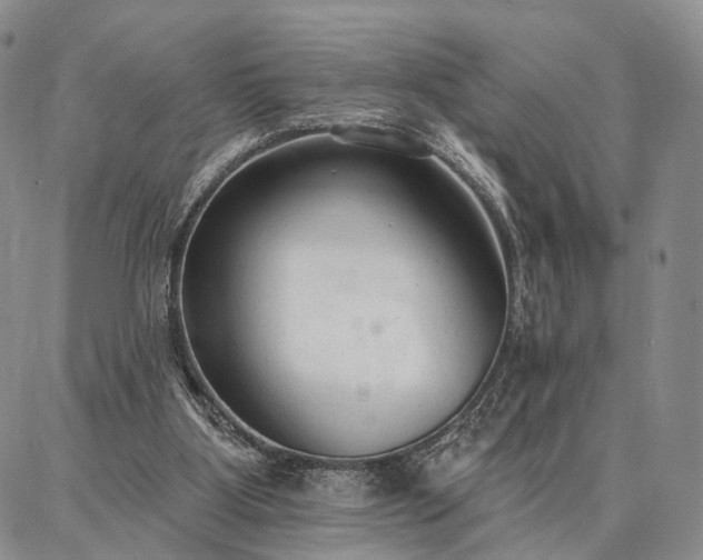 X0000086880107200704231113