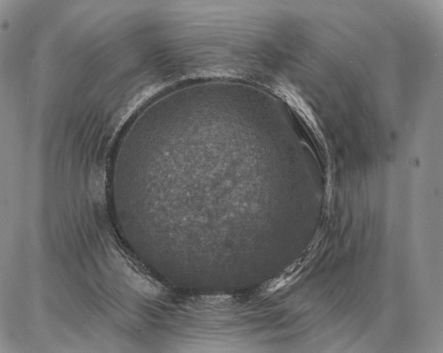 X0000086880108200704231113