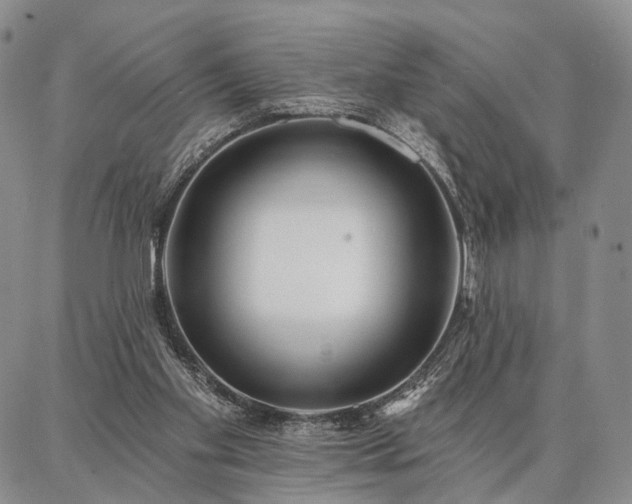 X0000086880109200704231113