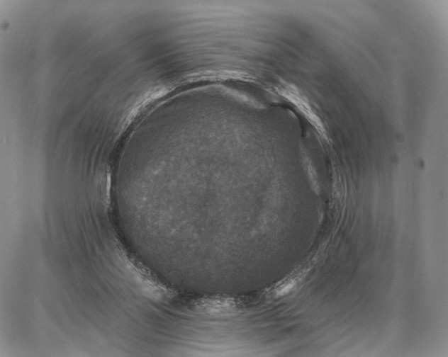 X0000086880110200704231113