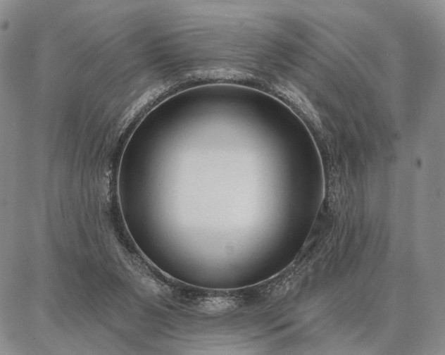 X0000086880111200704231113