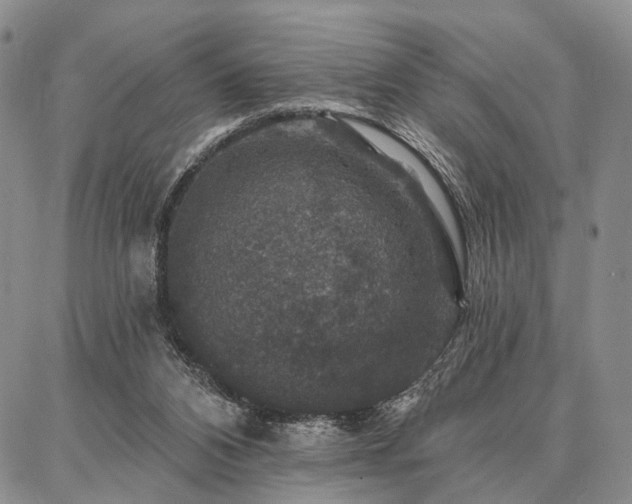 X0000086880112200704231113