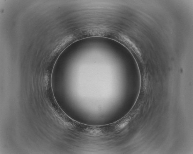 X0000086880113200704231113