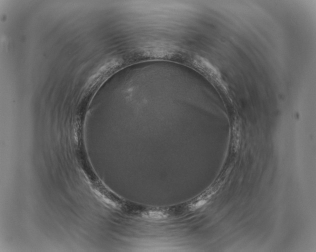 X0000086880114200704231113