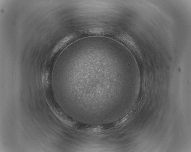 X0000086880116200704231113