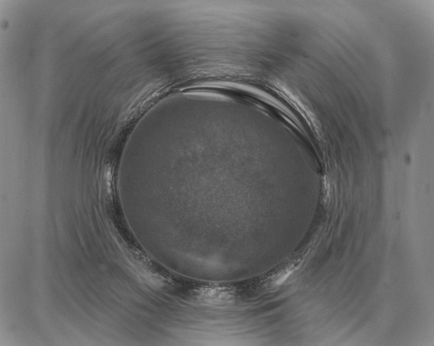 X0000086880117200704231113