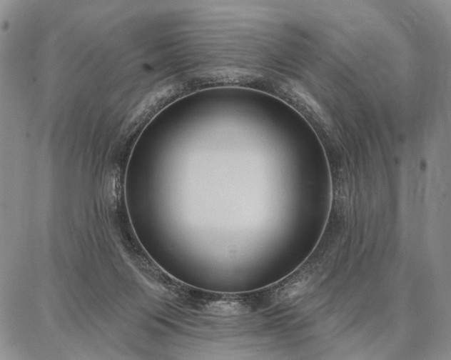 X0000086880119200704231113