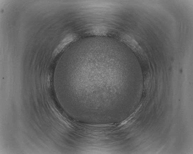 X0000086880120200704231113