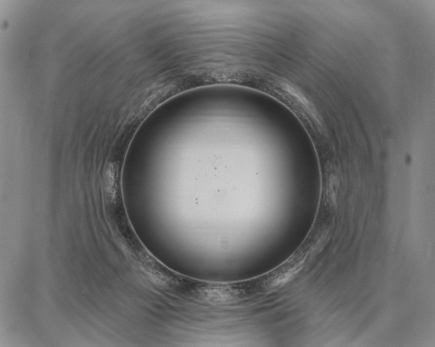 X0000086880121200704231112