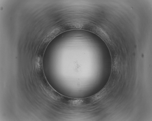 X0000086880122200704231112