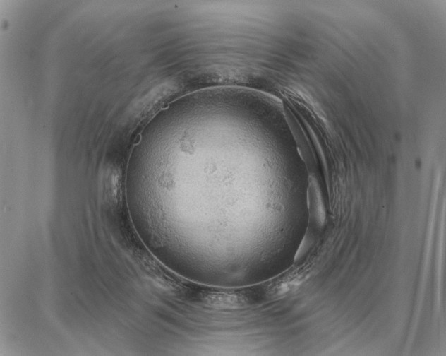 X0000086880123200704231112