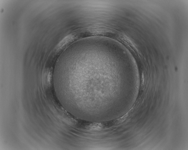 X0000086880124200704231112