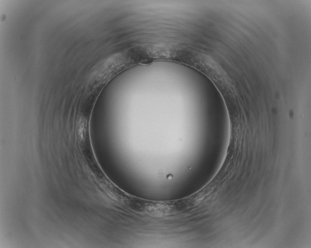 X0000086880125200704231112