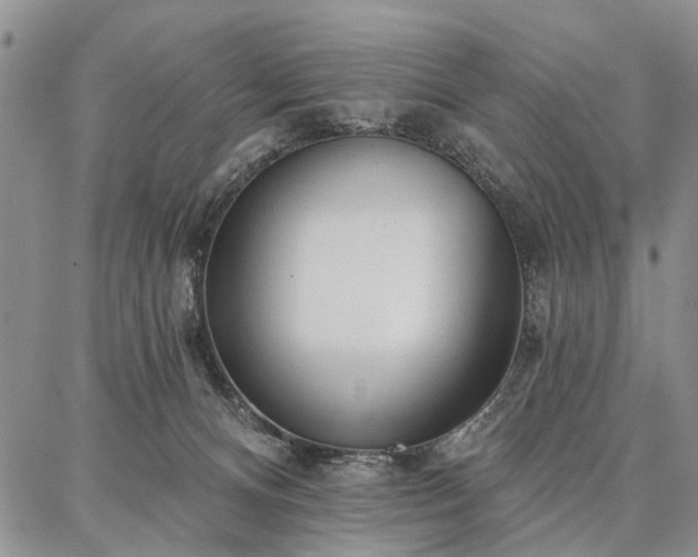 X0000086880128200704231112