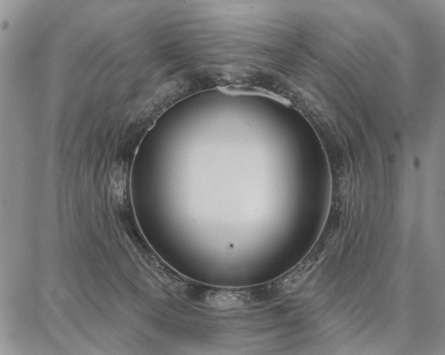 X0000086880129200704231112