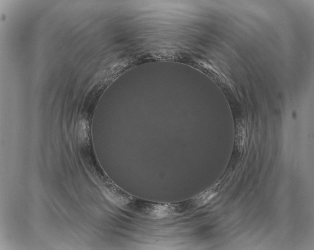 X0000086880130200704231112