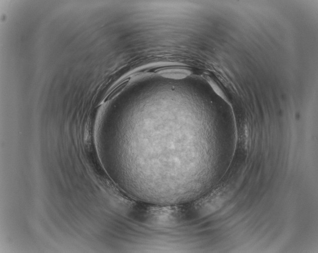 X0000086880131200704231112