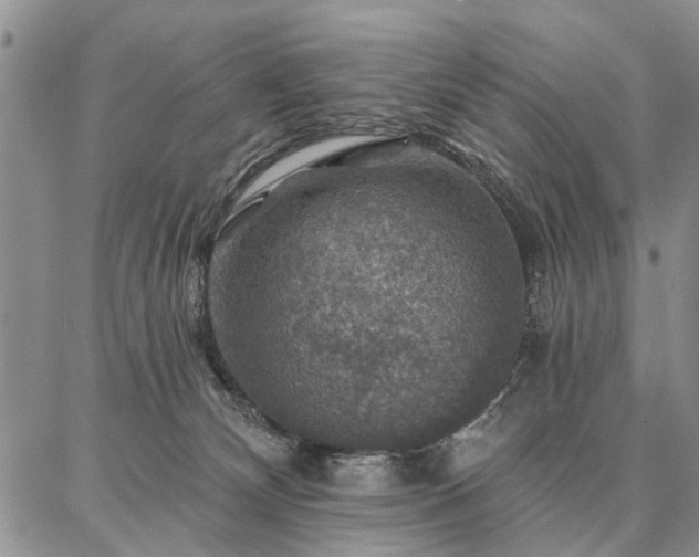 X0000086880132200704231112