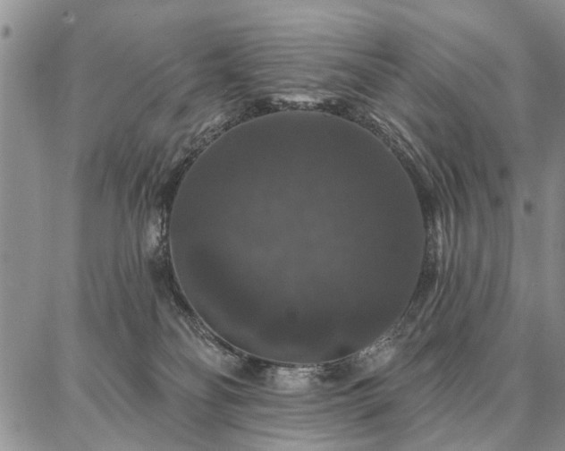 X0000086880134200704231112