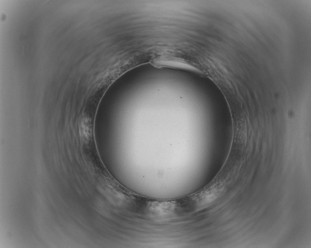 X0000086880135200704231112