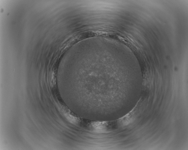 X0000086880136200704231112