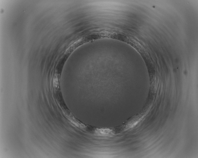 X0000086880137200704231112