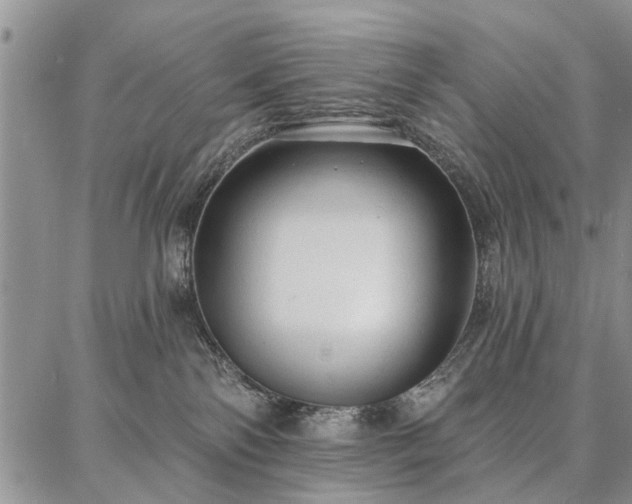 X0000086880138200704231112