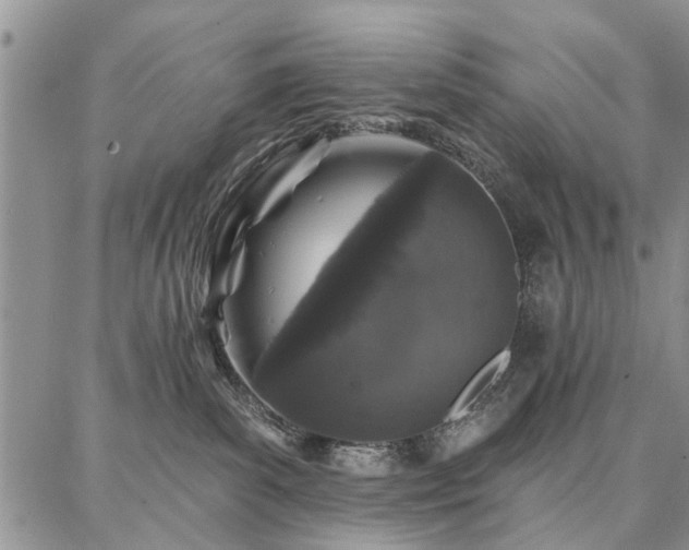 X0000086880139200704231112