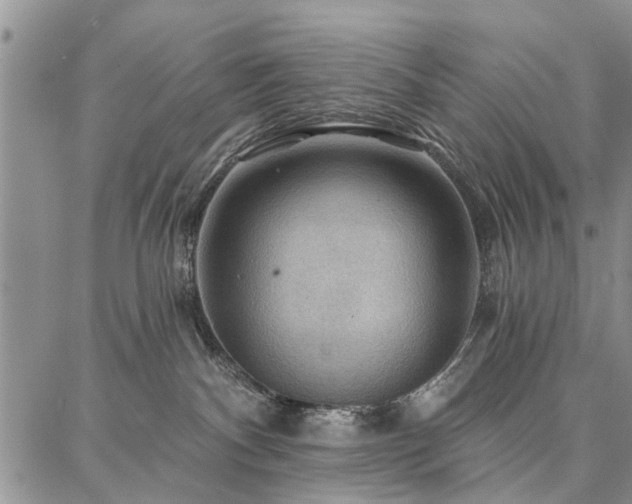 X0000086880140200704231112