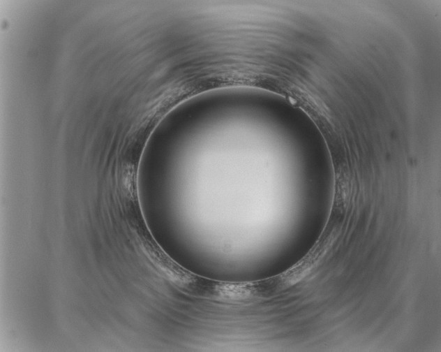 X0000086880141200704231112