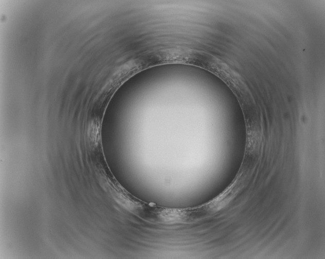 X0000086880142200704231112