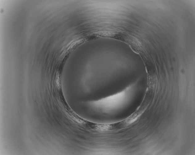 X0000086880143200704231112