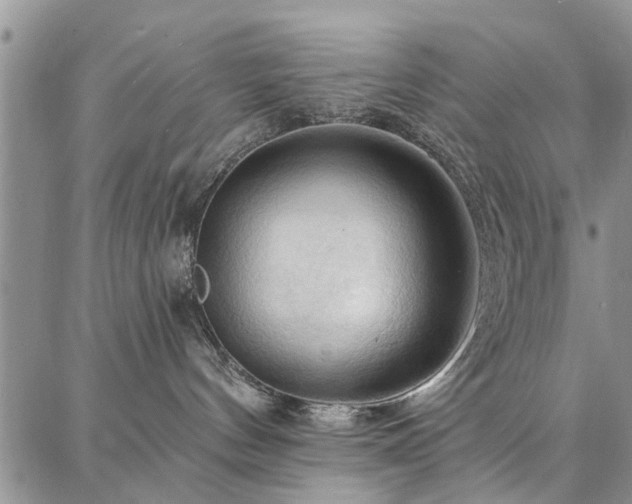 X0000086880144200704231112