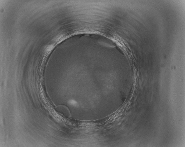 X0000086880145200704231111