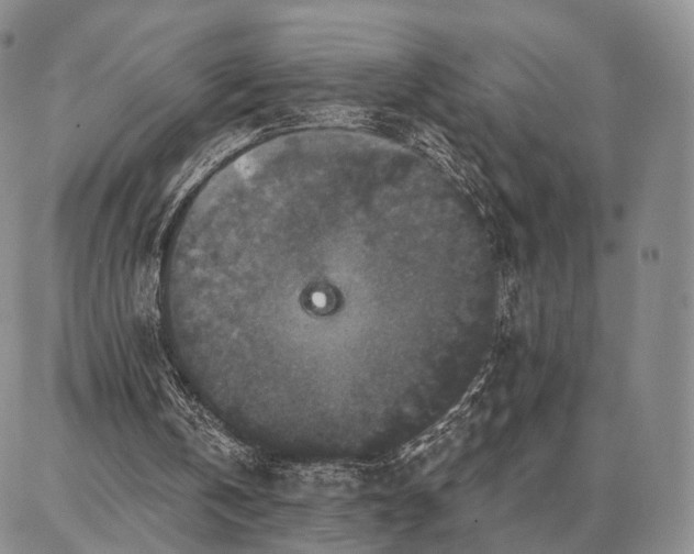 X0000086880146200704231111