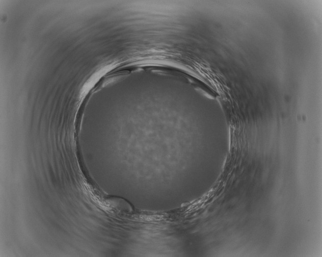 X0000086880147200704231111